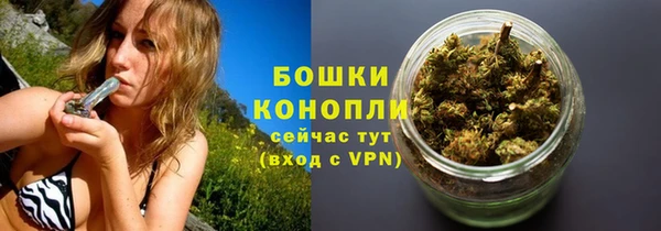 эйфоретик Богданович