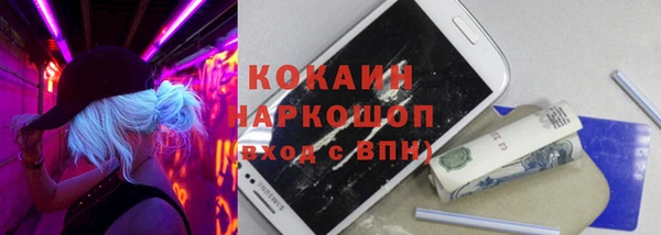 таблы Богородицк