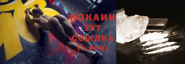 эйфоретик Богданович