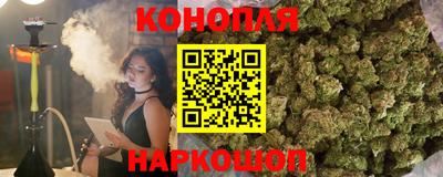 трава Гатчина