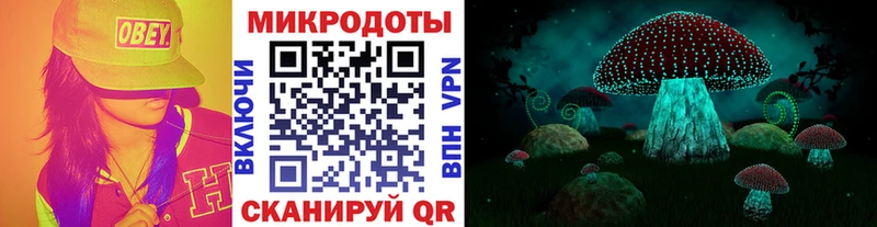 Псилоцибиновые грибы Psilocybine cubensis  kraken ссылки  Гатчина 