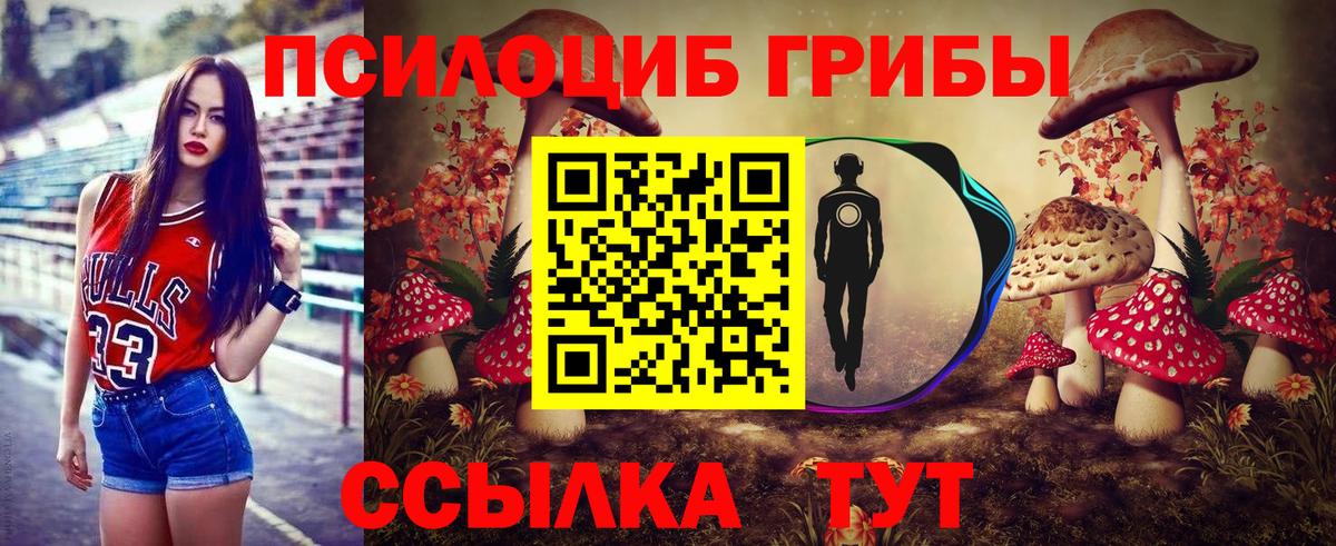 Псилоцибиновые грибы Magic Shrooms  Псилоцибиновые грибы прущие грибы  Гатчина 