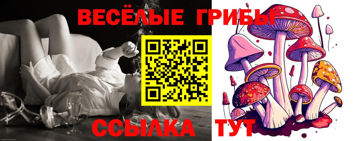 Псилоцибиновые грибы ЛСД Гатчина