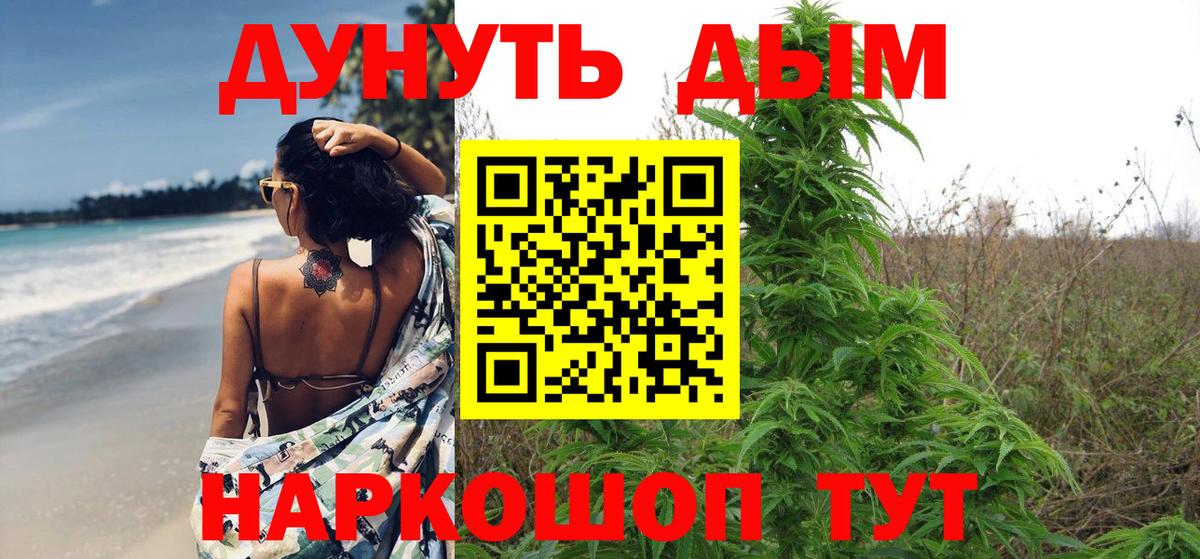 Конопля Гатчина