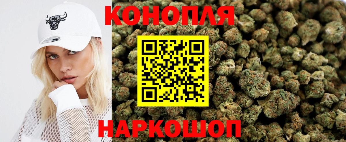 Бошки Шишки марихуана  Бошки Шишки семена  Конопля OG Kush  Бошки Шишки тримм  Гатчина  Вход с VPN 